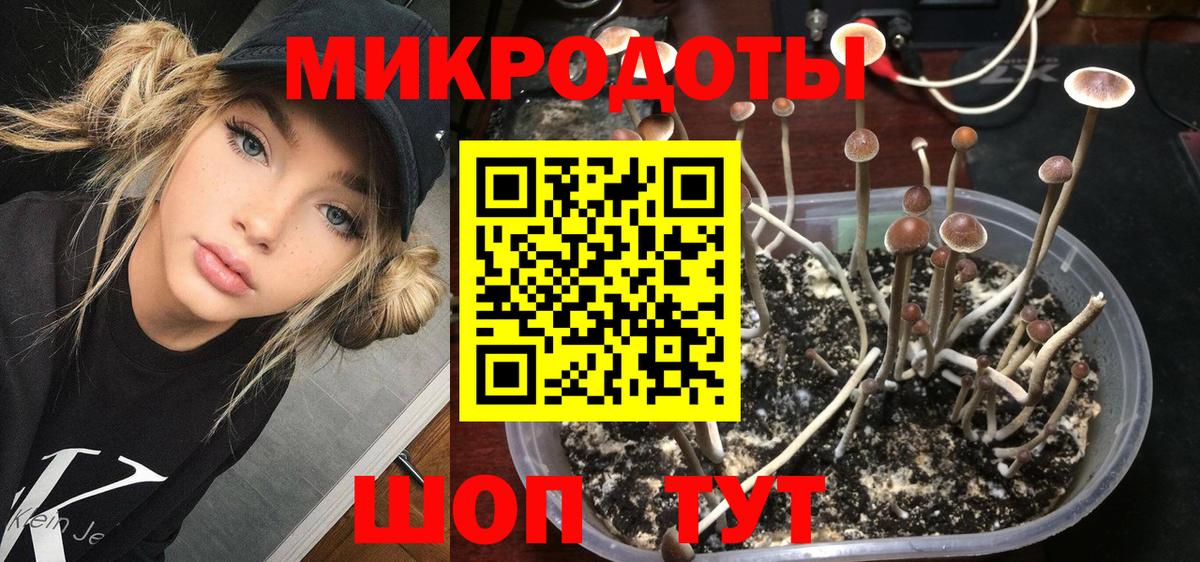 Псилоцибиновые грибы ЛСД  где купить   Вход с VPN  Южноуральск  Псилоцибиновые грибы Psilocybine cubensis 