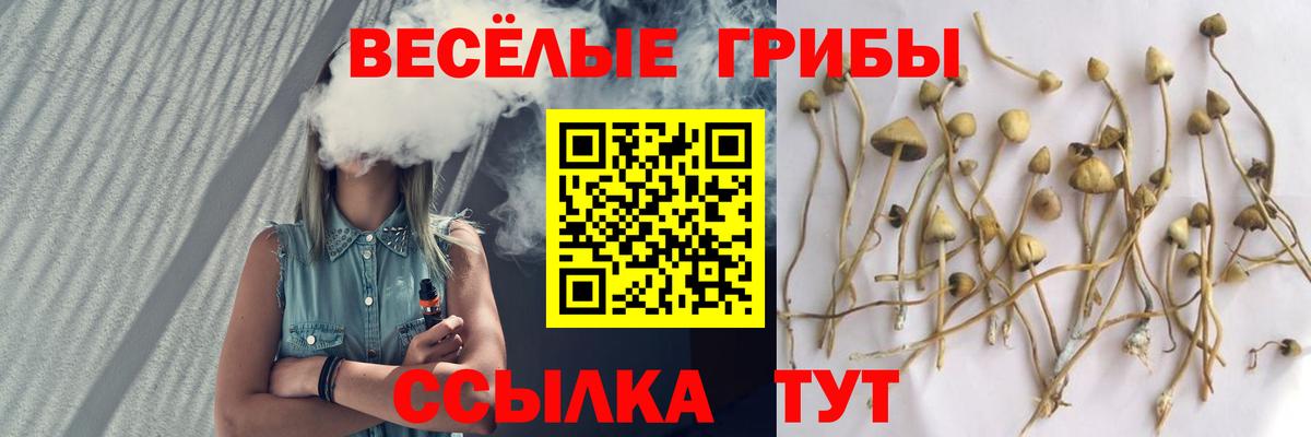 Галлюциногенные грибы Magic Shrooms Южноуральск